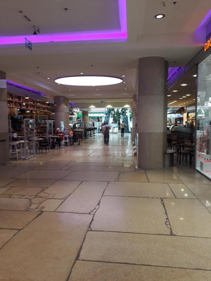 Mostly Muse Eidenberg Luaran gambar